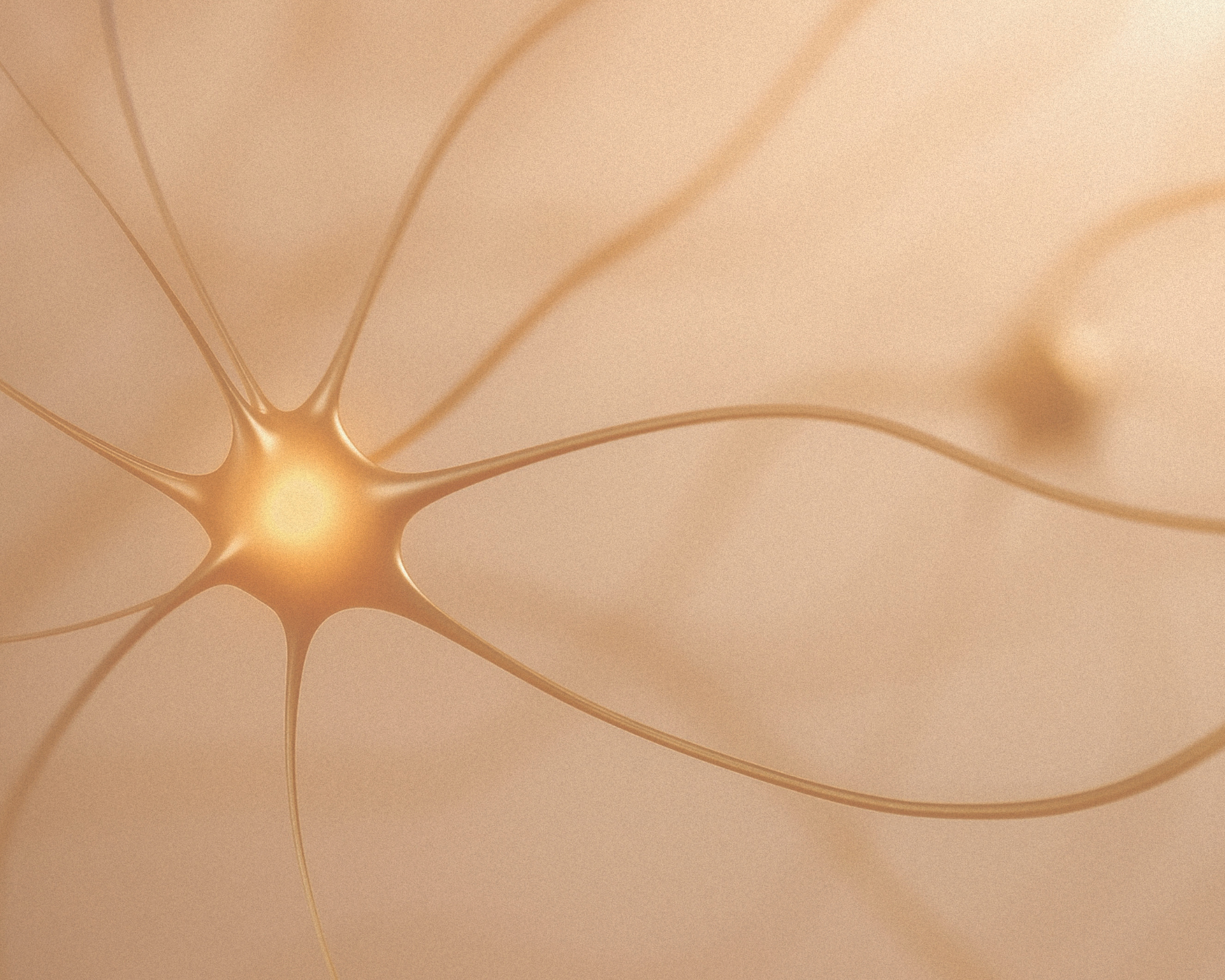 <p>NEUROCOSMETICS</p>